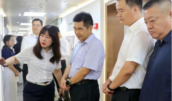 岳麓区人大常委会调研集团侨务工作
