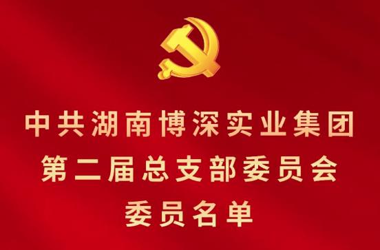 集团新一届党总支委员会人员名单